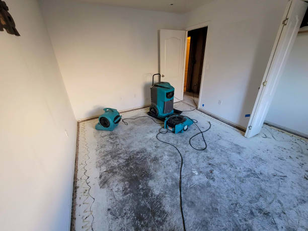 Water damage restoration mold remediation in PA