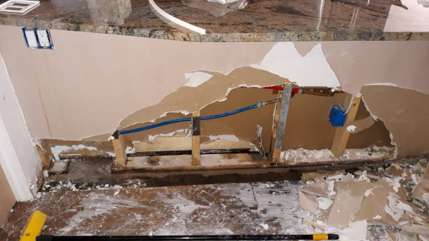 Best Water damage mitigation services  in Apollo, PA