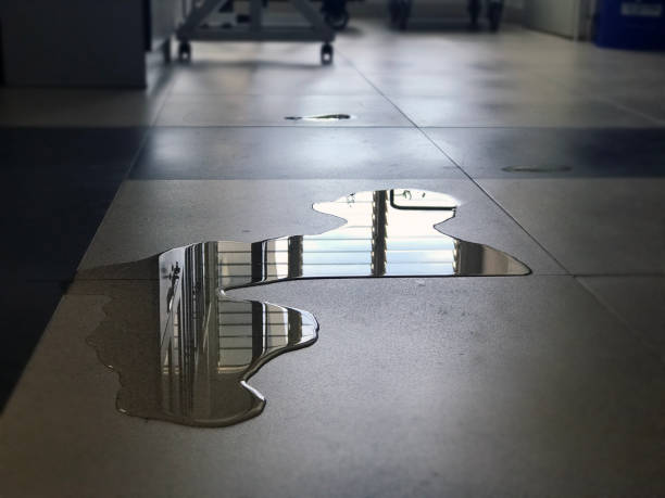 Best Professional water damage repair  in Apollo, PA