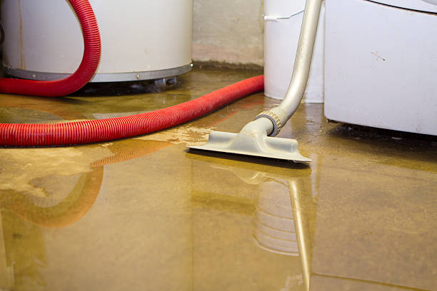Best Flood damage cleanup  in Apollo, PA