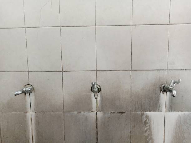 Best Water damage contractors near me  in Apollo, PA