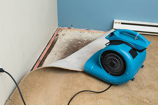 Best 24-hour water damage restoration  in Apollo, PA